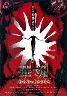 日本道~日本道高清